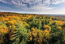 Herbst - Torben Gocke