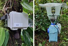 Ger&auml;usch-KI - Annika Busse/Springer Nature/dpa