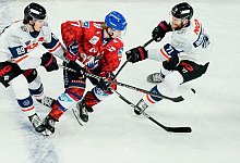 Gregor MacLeod - Uwe Anspach/dpa/Archivbild