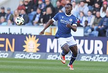 arminia_hanovii_070 - Oliver Krato