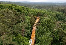 Baumwipfelpfad im Tiergarten N&uuml;rnberg - Daniel Karmann/dpa
