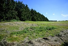 Fund von Kinderleiche - Sina Schuldt/dpa