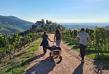 Drei Personen laufen durch die Weinberge - Durbach Adventures/Durbach Adventures/dpa