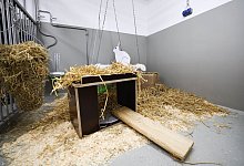 Neubau für Forschungstierhaltung Universitätsklinikum Eppendorf - Christian Charisius/dpa