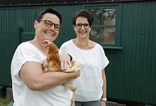 Carlotta ist die mutigste der zehn Hennen, die ihre ersten Lebensmonate in der Massentierhaltung zugebracht haben, bis ihre Legeleistung nachlie&szlig; und sie geschlachtet werden sollten. Iris Vosskord (r.) hat die V&ouml;gel ihrer Schwester Ute F&uuml;chtencordsj&uuml;rgen zum heutigen 60. Geburtstag geschenkt - und den H&uuml;hnern damit ein zweites Leben. - Roland Th&ouml;ring