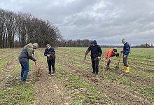 anpflanzung-von-baumen-moutainbikestrecke-20122024 - Stadt Lage