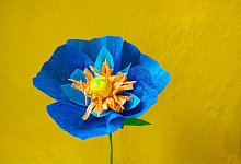 Blume aus Krepppapier - Isabelle Modler/dpa-tmn