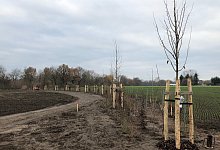 Kreisverkehr - Thomas Reineke