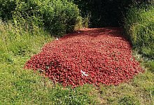 1750672127973 - Privat