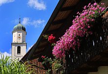 Sind Geranien auf dem Balkon tabu? - Karl-Josef Hildenbrand/dpa-tmn
