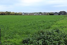 big_leo_brunsheide-2 - 1 - Birgit Guhlke