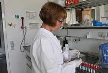 CVUA Detmold - 2 - Chiara Wibbeke