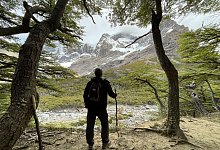 Berufliche Auszeit - Manuel Meyer/dpa-tmn