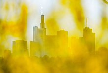 Frankfurter Skyline - Andreas Arnold/dpa/dpa-tmn