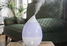 Luftbefeuchter - Foto: Robert G&uuml;nther