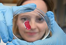 K&uuml;nstliches Fleisch - Foto: Bernd Wei&szlig;brod/dpa