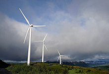 Klimawende - Joshua A. Bickel/AP/dpa