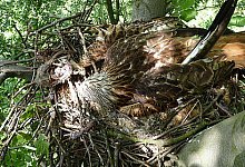 Kreis bittet um Mithilfe - Lage