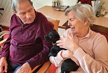 tierischer-besuch - Tierheim Detmold