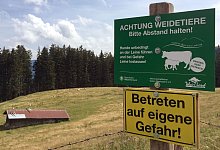 Kuhweide - Sabine Dobel/dpa