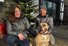 Mannis neue Familie - 1 - Tierheim Eichenhof