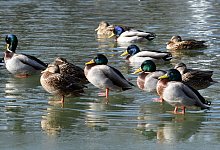 Winter in Nordrhein-Westfalen - Henning Kaiser/dpa