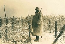 Weihnachten inmitten von Stacheldraht - privat