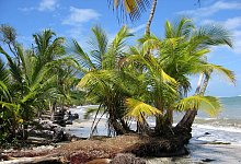 Mutmaßlich zwei Deutsche in Costa Rica tot aufgefunden - picture alliance / dpa