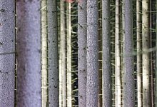 Wetterausblick zum Wochenstart - Thomas Banneyer/dpa