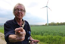 Rotmilan - Janet K&ouml;nig