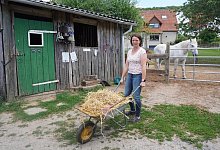 miw-bauernhof-2 - Michaela Wei&szlig;e