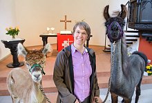 Pfarrerin mit Lamas und Alpakas im Auftrag des Herrn unterwegs - picture alliance / dpa