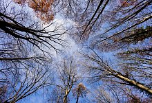 Sonne in K&ouml;ln. - Rolf Vennenbernd/dpa