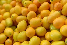 Kumquats - Foto: Andrea Warnecke/dpa-tmn