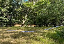 Australien - Uncredited/QUEENSLAND POLICE SERVICE/AAP/dpa