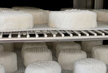 Labor der Firma Formo - 1 - Karlotta Ehrenberg/dpa