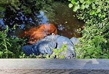 Illegale M&uuml;llentsorgung - Landesverband Lippe