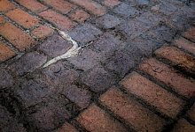 520211796 - Bildrechte: Nils Levin Lehnert