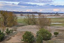 Flussauen-Nationalpark - Patrick Pleul/dpa-Zentralbild/ZB