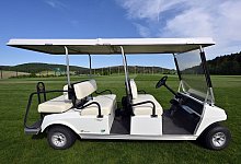 Unfall mit Golfcart x in &Ouml;sterreich - Martin Schutt/dpa