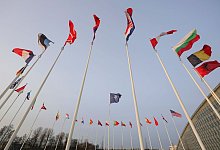 Flaggen der Nato - Olivier Matthys/AP/dpa