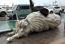 Taifun «Khanun» - Japan - NTV/AP/dpa