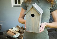 Nistk&auml;sten in den H&auml;nden einer Person - Christin Klose/dpa-tmn/dpa