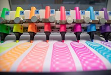 Schwan Stabilo - Foto: Daniel Karmann/dpa