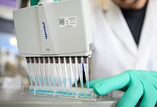 Arbeit im Labor - Foto: Sebastian Gollnow/dpa