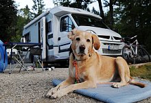 Ein Hund liegt auf einem Campingplatz vor einem Wohnmobil - Tobias Hase/dpa-tmn