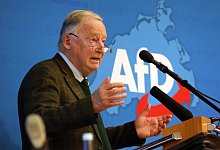 Alexander Gauland - Foto: Bernd W&uuml;stneck/dpa-Zentralbild/dpa