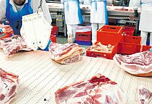 Zerlegung am Flie&szlig;band - Inge Bultschnieder hat miterlebt, wie die Mitarbeiter und den Arbeits- und Lebensbedingungen leiden.&nbsp; - picture alliance/dpa