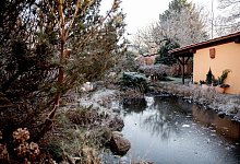 Ein Gew&auml;sser im Winter - Zacharie Scheurer/dpa-tmn