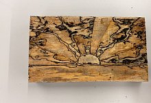 Pilze zaubern Bilder auf Holz - Foto: Empa/dpa